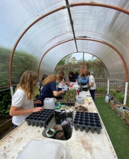 — St. Andrew's Scots School