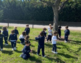 — St. Andrew's Scots School