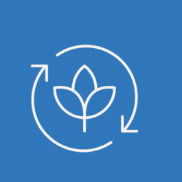 — St. Andrew's Scots School