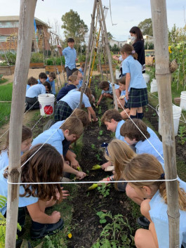 — St. Andrew's Scots School